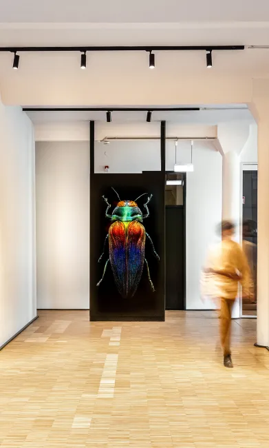 Flur im Büro mit Raumteiler