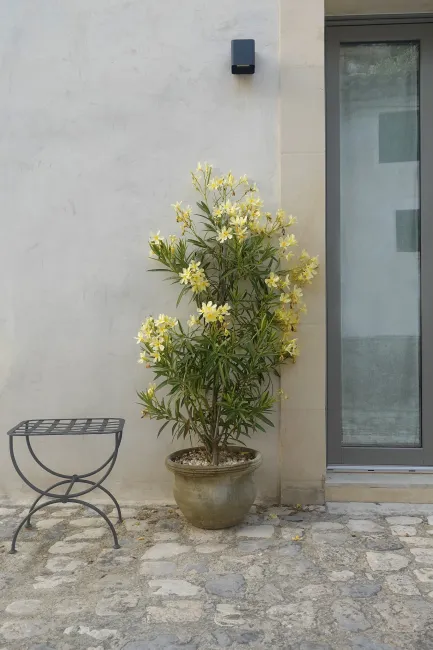 Scicli-House-Sicily-oleandro_consciousdesign_interiordesign